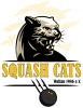 Logo SC